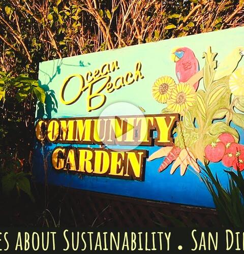 STORIES ABOUT SUSTAINABILITY | Ocean Beach Community Garden, San Diego/CA