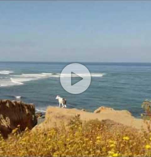 Sunset Cliffs Ocean Beach San Diego California