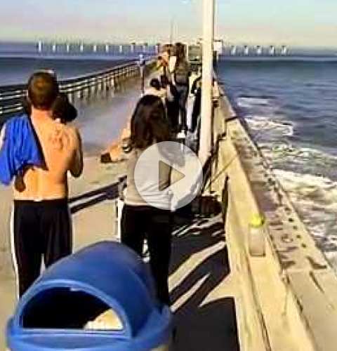 Big Surf in OB at the Pier