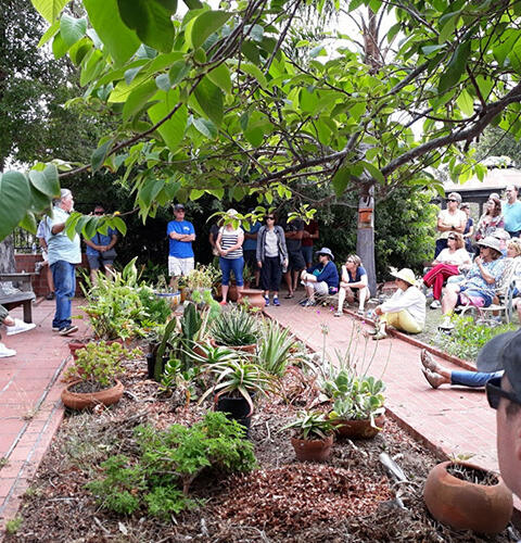 Ocean Beach News Article: Valentine Crafts in the Garden w/ Coastal Sage