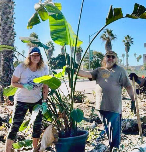 Ocean Beach News Article: OB Entryway Beautification Weeding Party