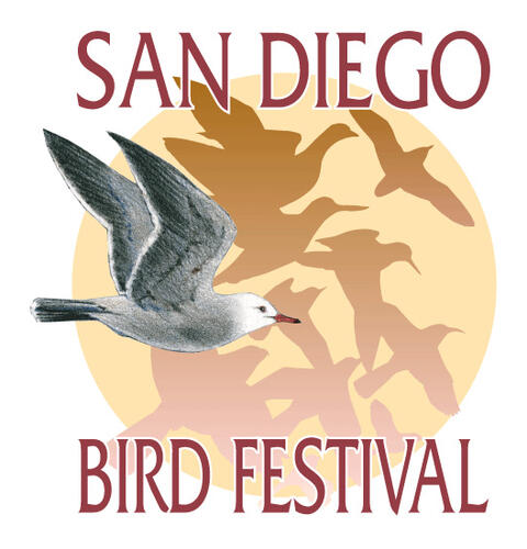 Ocean Beach News Article: The San Diego Audubon Society Bird Festival: Birds Make Us Better!