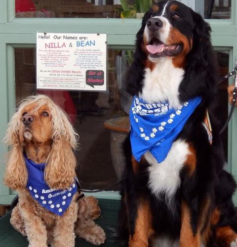 Nilla & Bean, Shades Mascots