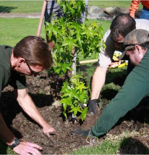 Tree Advocacy Class