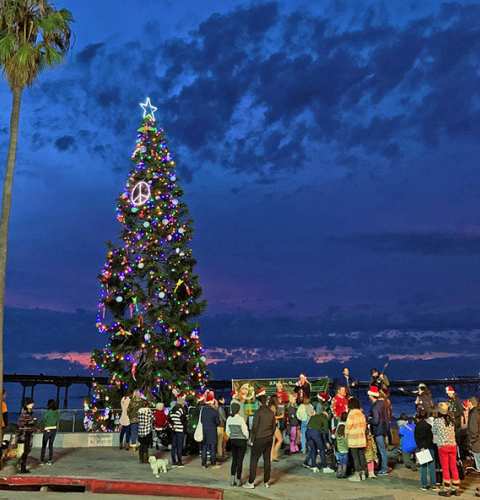 Ocean Beach News Article: Virtual OBTC Holiday Gala