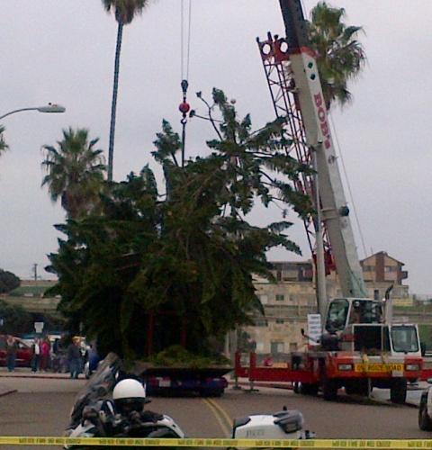 OB Christmas Tree 2012