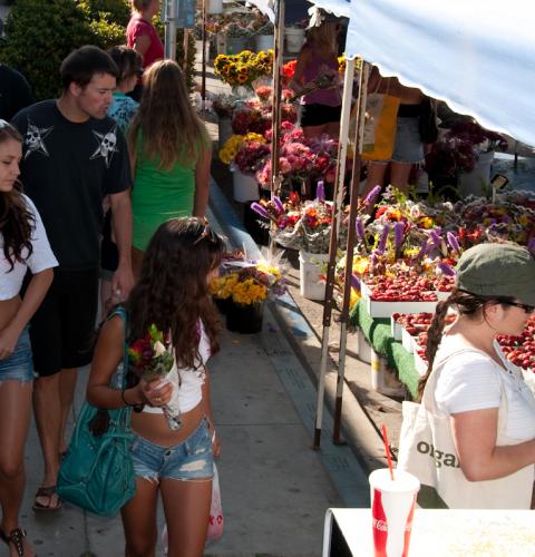 Photo of: Farmers Market 2011