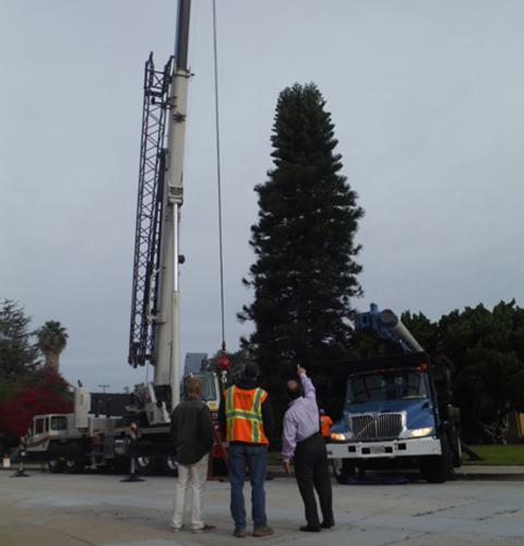 Ocean Beach MainStreet Association Christmas Tree