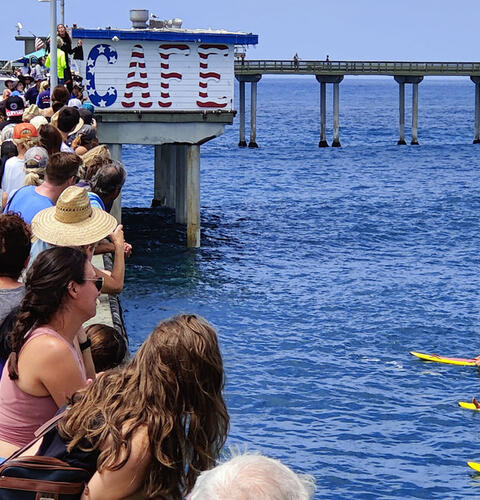 Photo of: More junior lifeguards taking the plunge at OB Pier press coverage